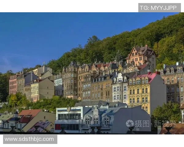 俄罗斯与捷克的精彩对决分析及赛前预测全景揭秘